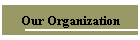 Our Organization